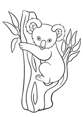 Coloring pages. Little cute baby koala smiles.