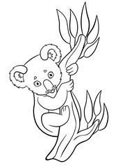 Coloring pages. Little cute baby koala smiles.