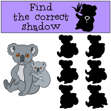 Educational game: Find the correct shadow. Mother koala with bab