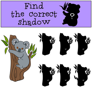 Educational game: Find the correct shadow. Little cute baby koal