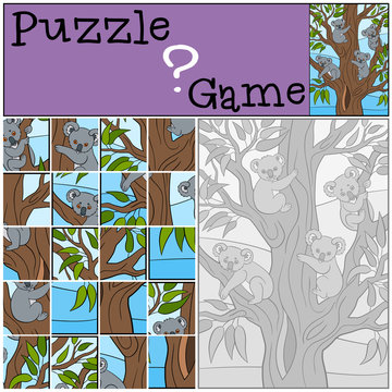 Education game: Puzzle. Four little cute koala babies.