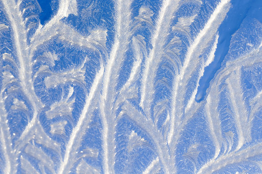 Ice flowers at window. Winter. Frost.