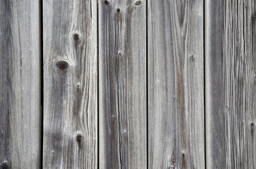 Grunge wood fence with knots