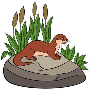 Cartoon animals. Little cute otter stands on the stone.
