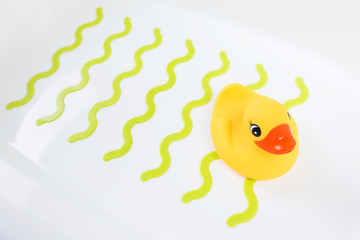 Rubber ducks in baby bath