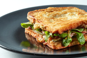 delicious grilled sandwich