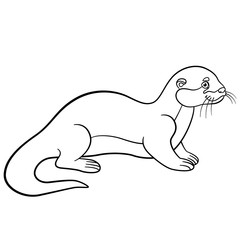 Coloring pages. Little cute otter smiles.