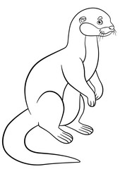 Coloring pages. Little cute otter smiles.