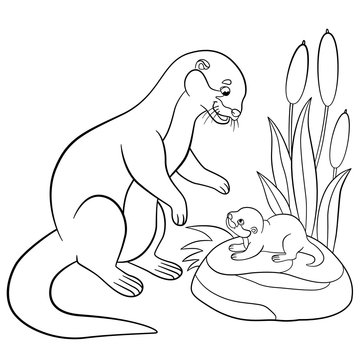 Coloring Pages Mother Otter Looks At Her Cute Baby Stock Vector Adobe Stock
