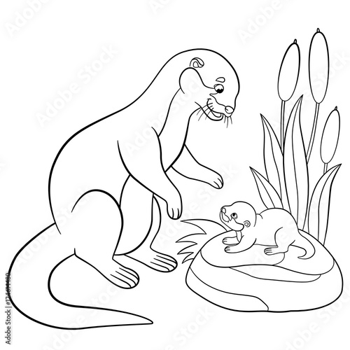 Coloring Pages Mother Otter Looks At Her Cute Baby Wall Mural Wallpaper Murals Ya Mayka