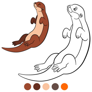Coloring page. Little cute otter swims.