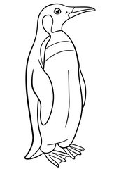 Coloring pages. Little cute penguin smiles.