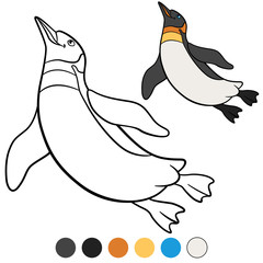Obraz premium Coloring pages. Little cute penguin swims.