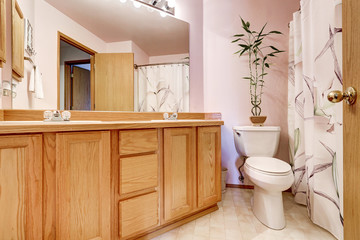 Bathroom interior with light pink walls and double sink vanity