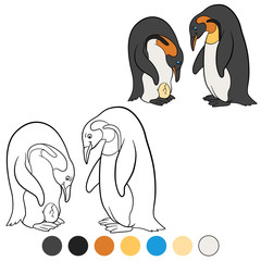 Coloring pages. Mother and father penguin look at the egg.