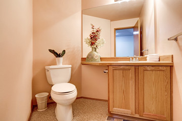 Fototapeta na wymiar Half Bathroom interior with light pink walls