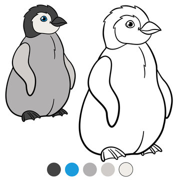 Coloring pages. Little cute baby penguin smiles.