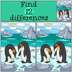 Fototapeta premium Educational game: Find differences. Two cute penguins with egg.