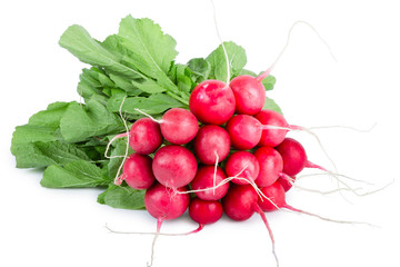 Bunch of radish