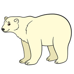 Cartoon animals. Cute polar bear smiles.