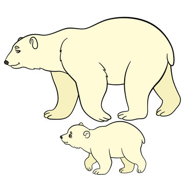 Cartoon animals. Mother polar bear with her baby.