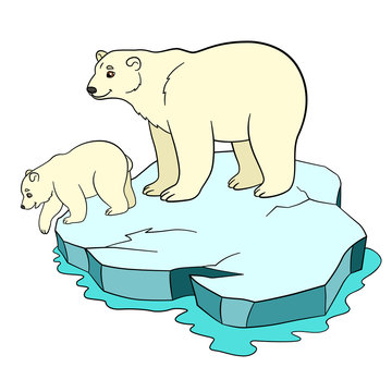 Cartoon animals. Mother polar with her baby.