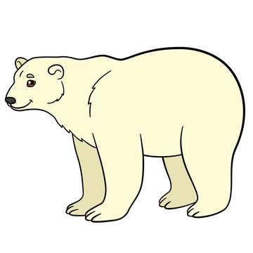 Cartoon animals. Cute polar bear smiles.