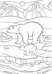 Coloring pages. Mother polar bear walks with her baby.