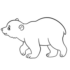 Coloring pages. Little cute baby polar bear walks.