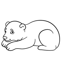 Coloring pages. Little cute baby polar bear.