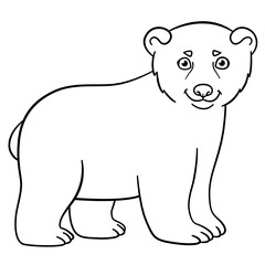 Coloring pages. Little cute baby polar bear.