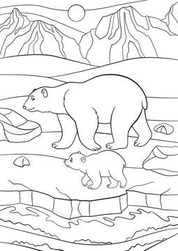 Coloring pages. Mother polar bear walks with her baby.