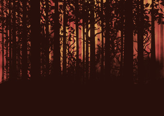 Dark Foggy Forest