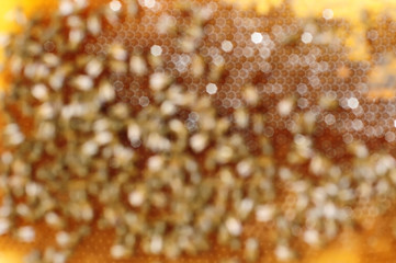 Bokeh background from bees honeycomb. natural
