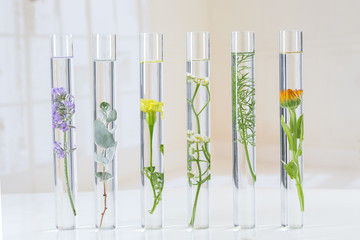 herbal medicine researchPants in test tubes