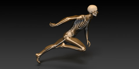 Radiography Scan with Bones