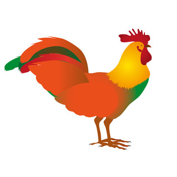 Rooster, cock portrait cartoon illustration. Holiday card design element.