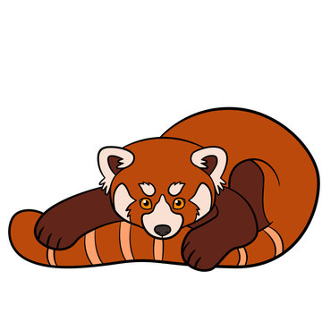 Cartoon wild animals. Little cute baby red panda.