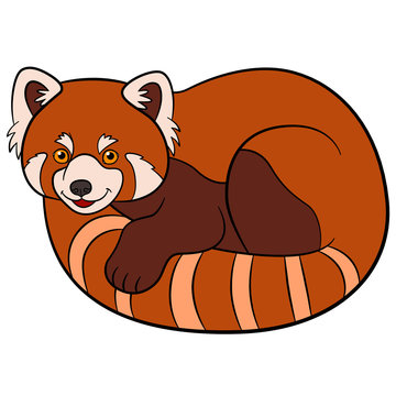 Cartoon wild animals. Little cute red panda.