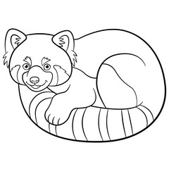 Coloring pages. Little cute red panda.