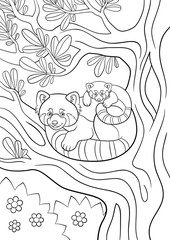 Coloring pages. Mother red panda with her cute baby.