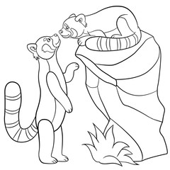 Coloring pages. Two little cute red pandas.
