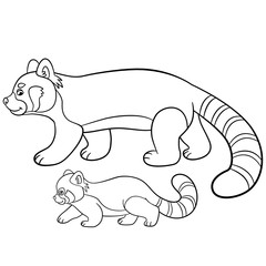 Coloring pages. Mother red panda walks with her baby.