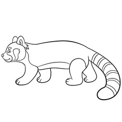 Coloring pages. Little cute red panda walks.