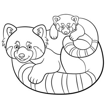 Coloring pages. Mother red panda with her baby.
