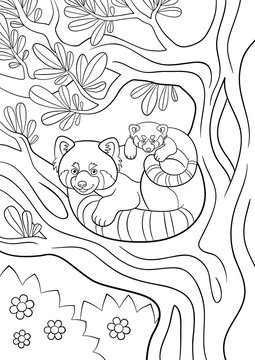 5 Best Panda Illustration Coloring Page Images Stock Photos Vectors Adobe Stock 5 Best Panda Illustration Coloring Page Images Stock Photos Vectors Adobe Stock