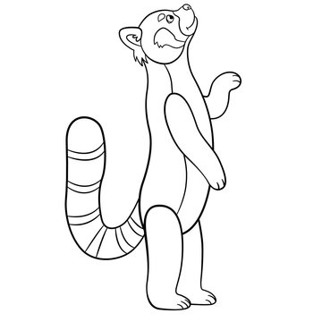 Coloring pages. Little cute red panda smiles.