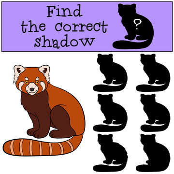 Educational game: Find the correct shadow. Little cute red panda
