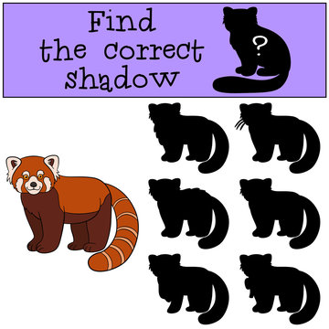 Educational game: Find the correct shadow. Little cute red panda