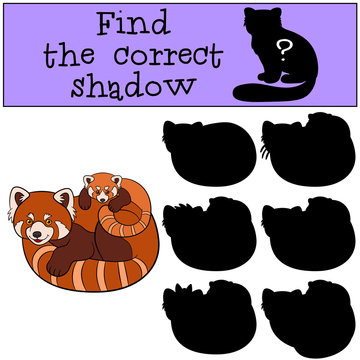 Educational game: Find the correct shadow. Red panda with baby.